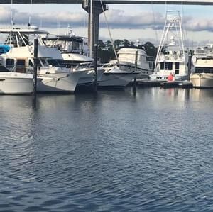 Meet your Posher, Connie